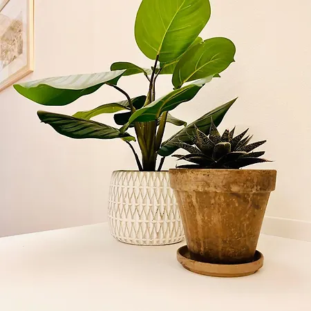 Ca Filipet Apartment *